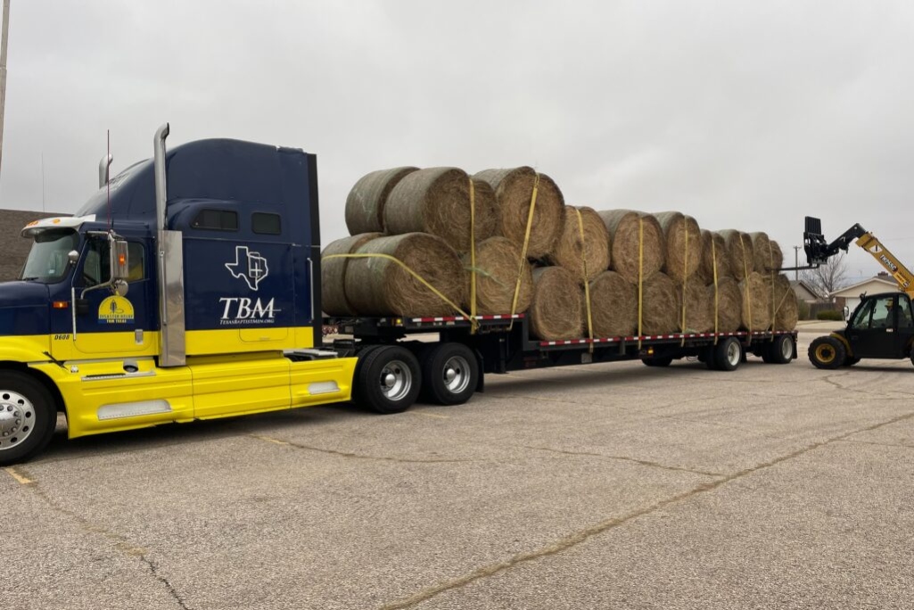 Baptists providing help, hay for hurting Texas ranchers • Biblical Recorder